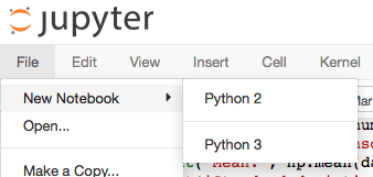 Notebook showing several available python kernels